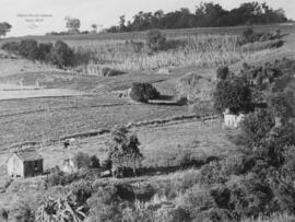 Lavoura